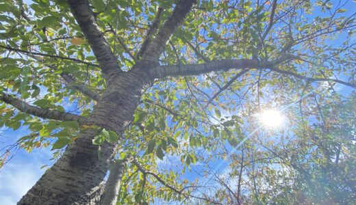 来年に向けて気持ちを前向きにしたい方へ